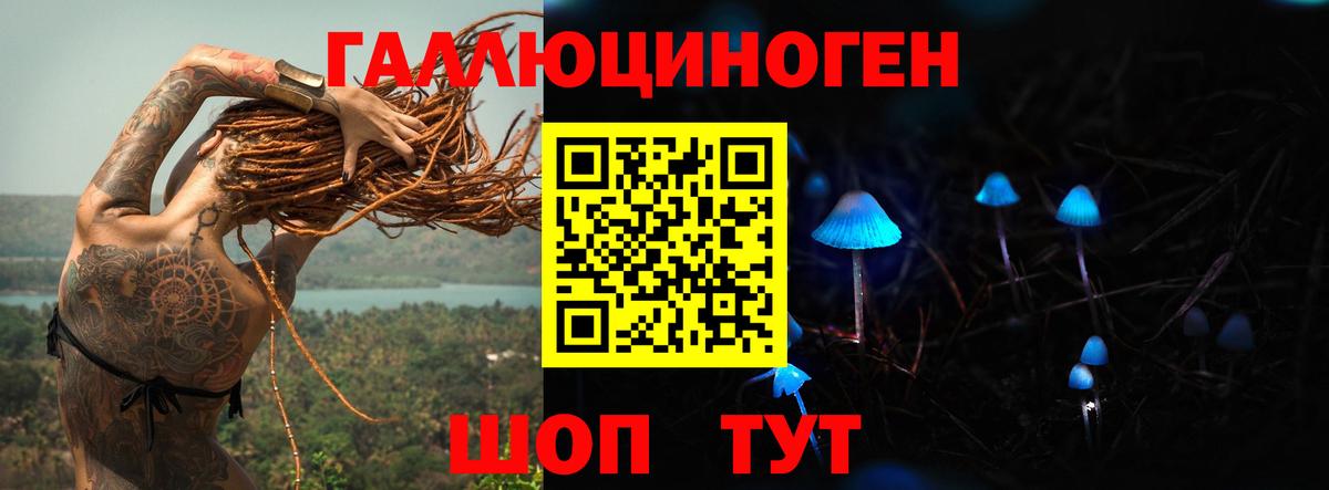Галлюциногенные грибы MAGIC MUSHROOMS  Вход с VPN  Скопин 